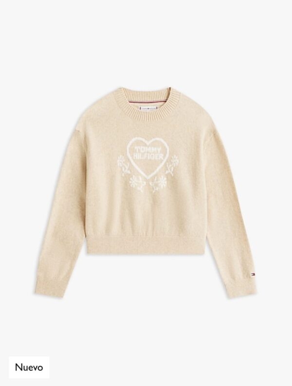 ¡¡¡NUEVO!!! JERSEY TOMMY HILFIGER - Imagen 5
