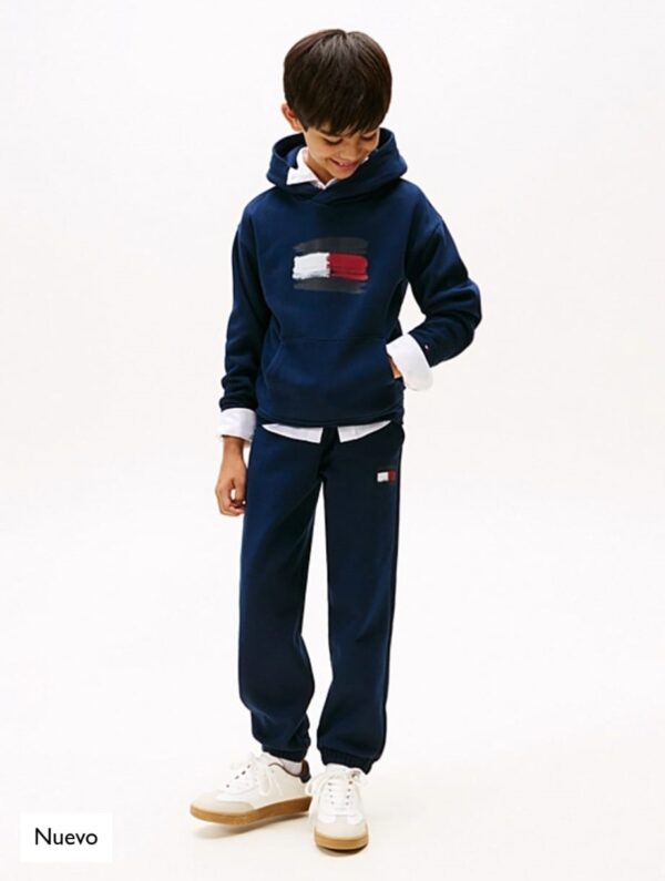 ¡¡¡NUEVO!!! SUDADERA TOMMY HILFIGER - Imagen 3