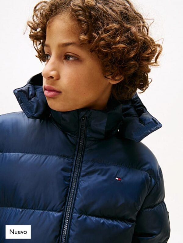 ¡¡¡NUEVO!!! CAZADORA TOMMY HILFIGER - Imagen 2