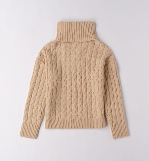 ¡¡¡NUEVO!!! JERSEY CON CUELLO DESMONTABLE - Imagen 3
