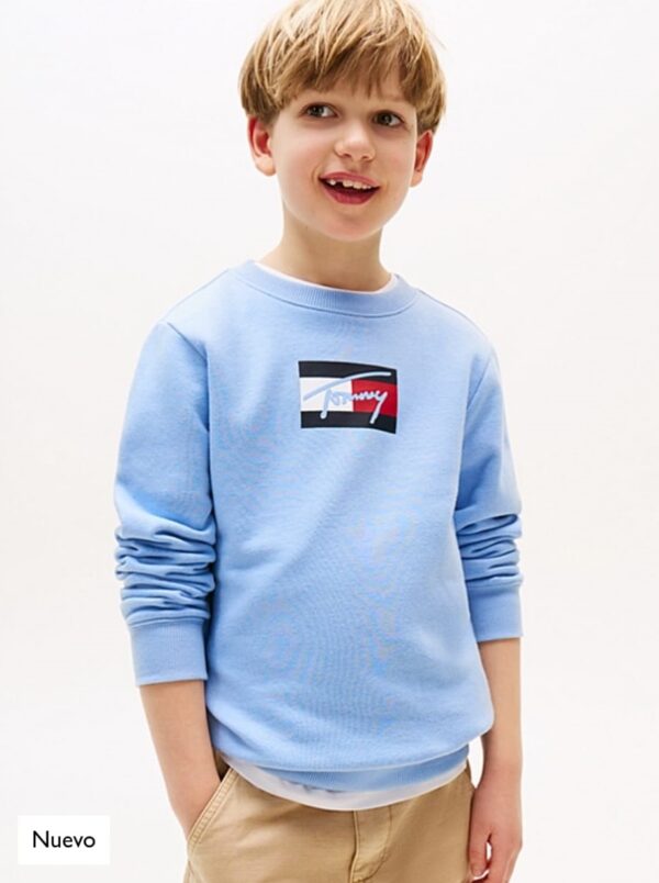 ¡¡¡NUEVO!!! SUDADERA TOMMY HILFIGER