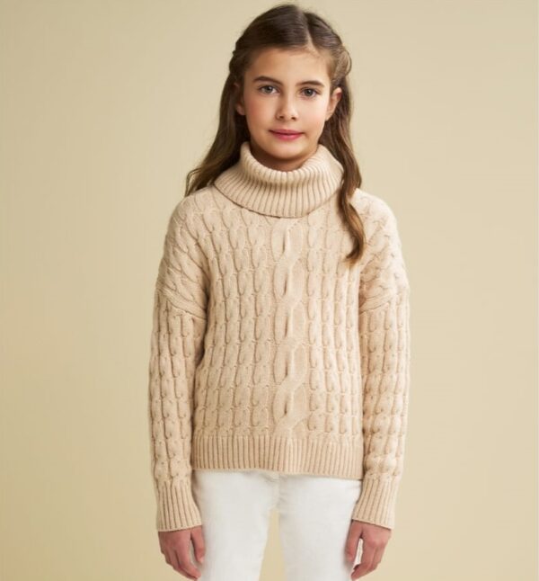 ¡¡¡NUEVO!!! JERSEY CON CUELLO DESMONTABLE