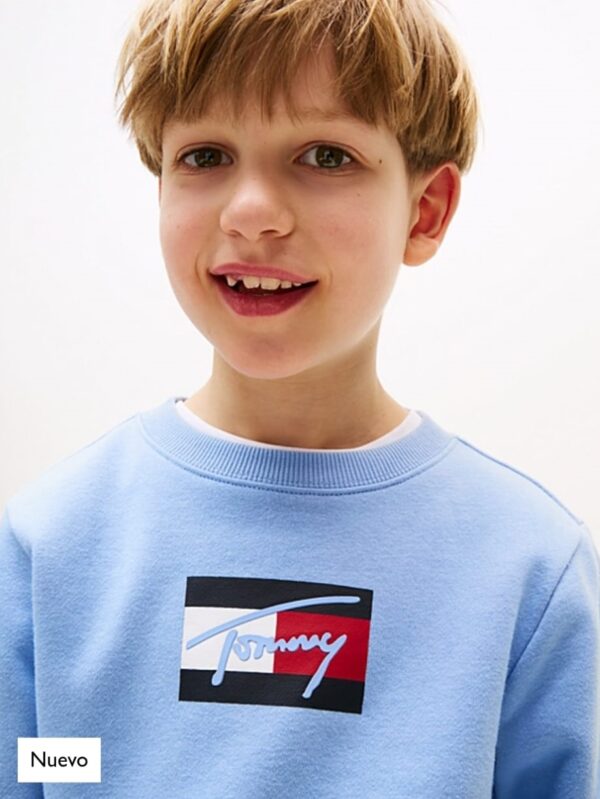 ¡¡¡NUEVO!!! SUDADERA TOMMY HILFIGER - Imagen 2