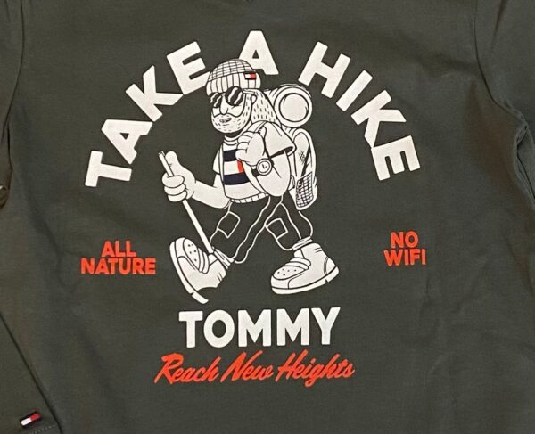 ¡¡¡NUEVO!!! CAMISETA TOMMY HILFIGER - Imagen 5